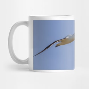 Royal Albatross Mug